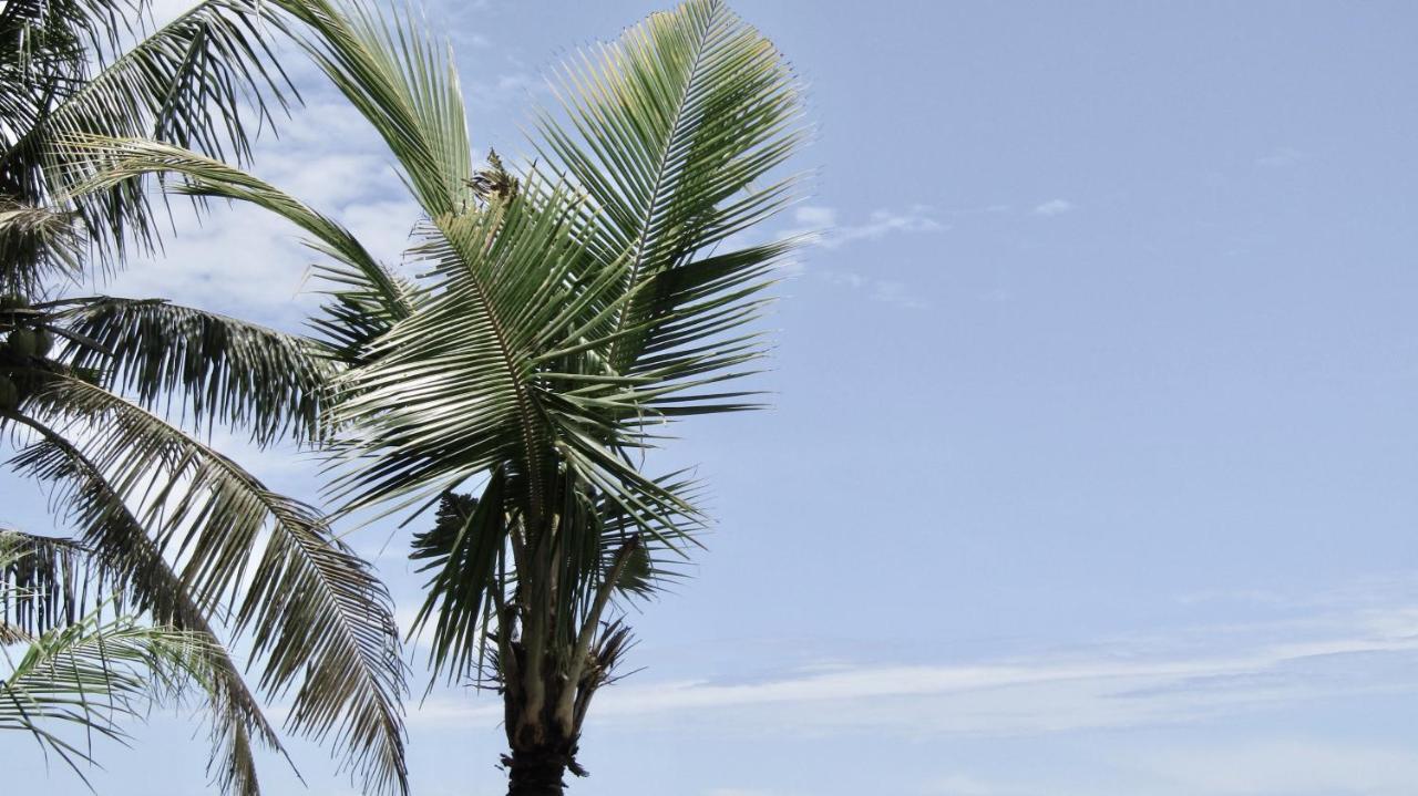 Dikaloha Surfschool And Stay Airsatang Εξωτερικό φωτογραφία