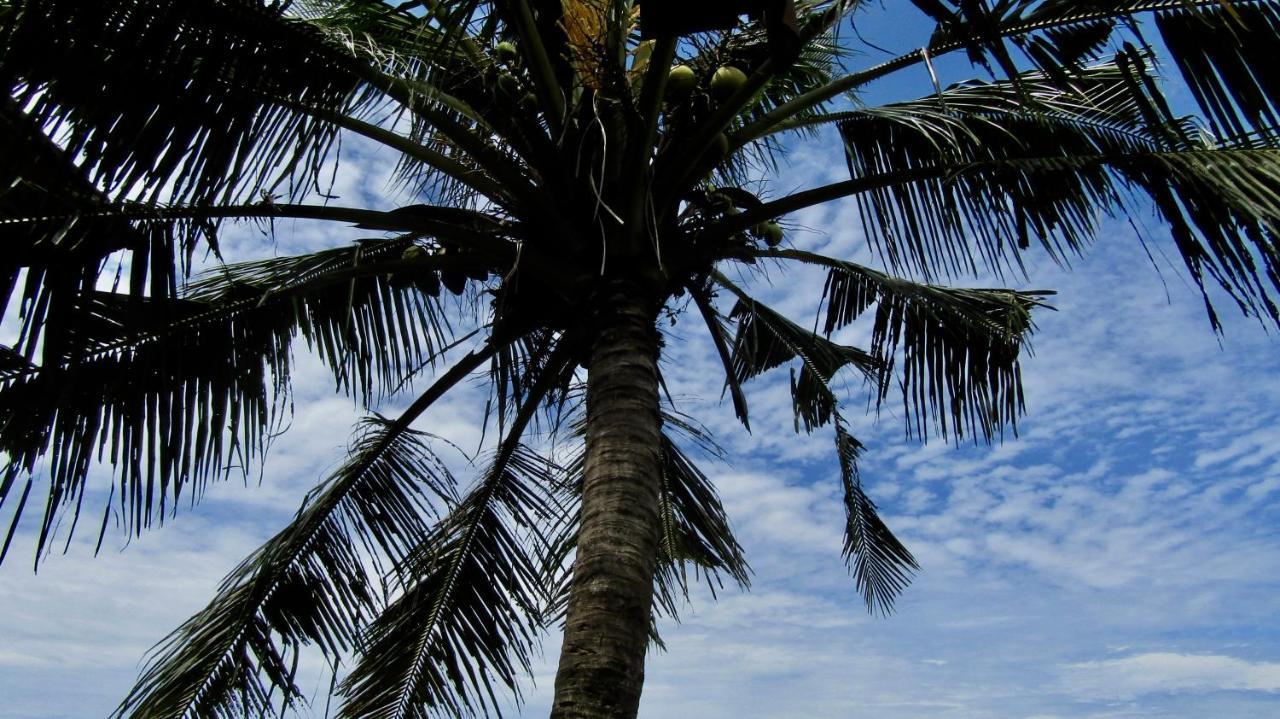 Dikaloha Surfschool And Stay Airsatang Εξωτερικό φωτογραφία