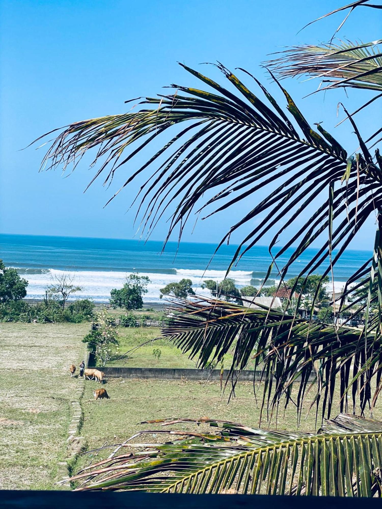 Dikaloha Surfschool And Stay Airsatang Εξωτερικό φωτογραφία